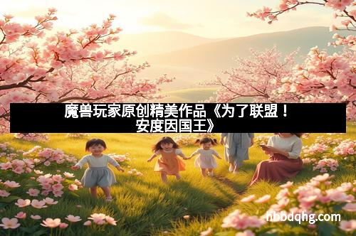 魔兽玩家原创精美作品《为了联盟！安度因国王》